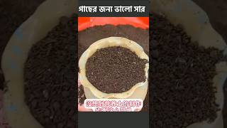 গাছের জন্য সার তৈরি