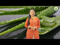 జుట్టు రాలుతోందా.. కలబంద తో ఇలా చేయండి hair growth tips with aloe vera k tv