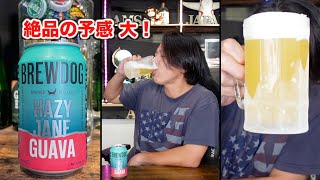 【キンキンぶっ決め】ブリュードッグ ヘイジージェーングアヴァをがぶ飲み！