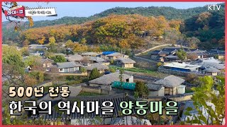 500년 전통, 한국의 역사마을 양동마을ㅣ하이큐 259회 예고편