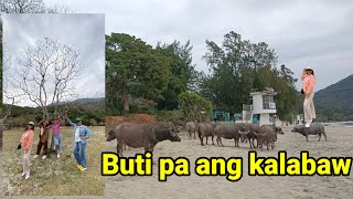 Ganap sa Lo Uk Tsuen , Pui O🇭🇰