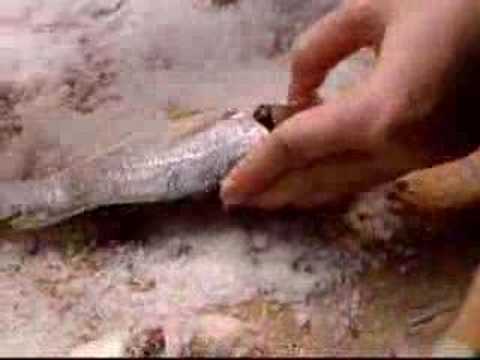 Making salted fish Making salted fish