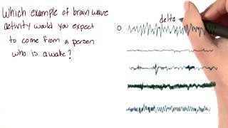 Which wave is awake - Intro to Psychology