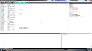 OllyDbg Byte Patch
