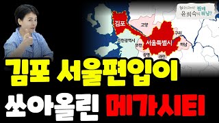 김포 서울편입이 쏘아올린 메가시티