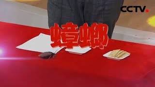 没有打不死的蟑螂！只有不合适的方法！ 家有害虫（二） 20201113 《健康之路》CCTV科教