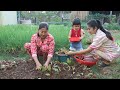 Mommy Sreypov: The peaceful life of country family - Harvest vegetable and cooking