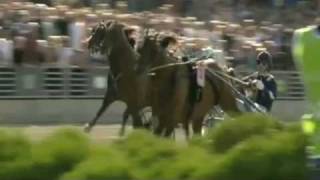 Elitloppet 2010 ICELAND (10,5a)  \u0026 Johnny Takter  - Solvalla Sweden (mob. version)