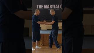 Shaolin Kung Fu Master demonstrates Internal Force (Jin)