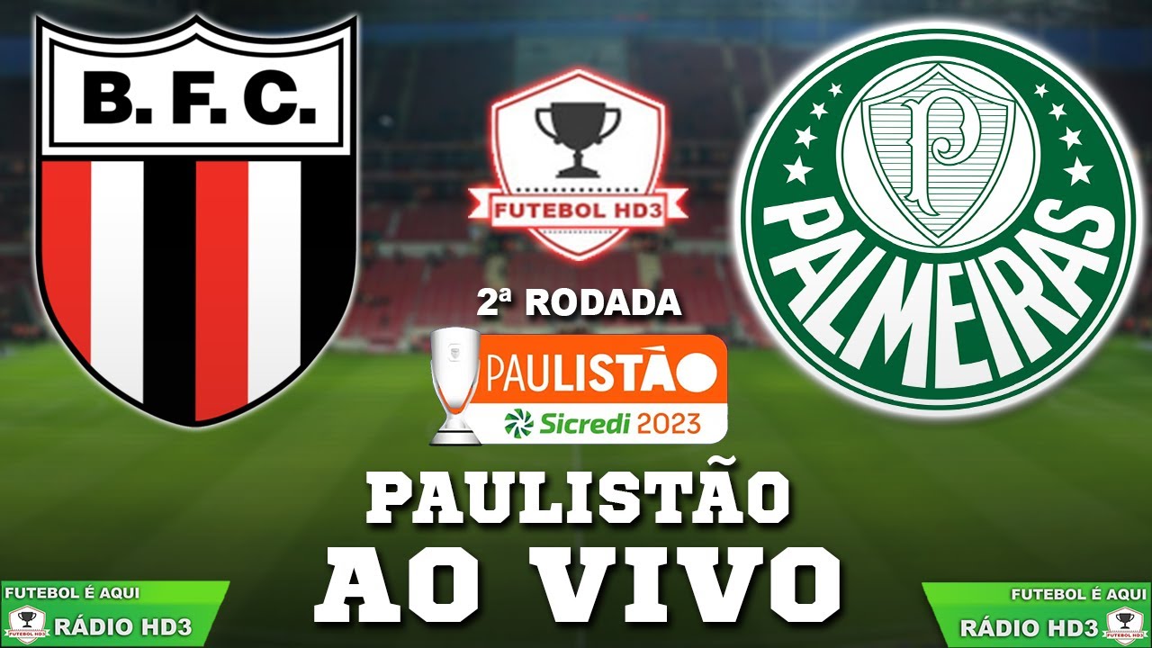 Palmeiras Bate Botafogo-SP Com Golaço De Veiga E Vence Primeira No ...