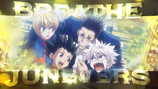 🐾Hunter x Hunter - Breathe🐾 (+ free project file)