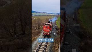 Tamara DB TEM2-134 luzem ze Ścinawki Górnej do Ścinawki Średniej #train #pociągi #db #tem2 #pociągi