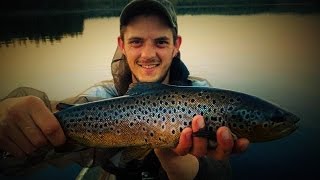 Evening Brown Trout