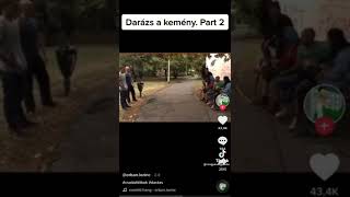 Darázs a kemény