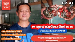 EP.47 พาบุกฟาร์มดังเจ้าของสายปลา PPRS พี่นนท์ ท่าเสา