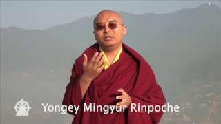 "The Causes of Anxiety and Suffering" ~ Mingyur Rinpoche