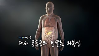 [명의 의학백과📖] 대사증후군과 인슐린 저항성