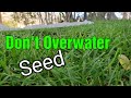 When To Stop Watering New Grass Seed?