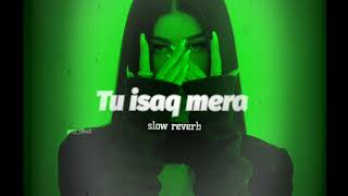 Tu Isaq Mera Slow Reverb | Hate Story 3 | 𝙥𝙨𝙮_𝙘𝙝𝙤3 | 𝙐𝙨𝙚 𝙝𝙚𝙖𝙙𝙥𝙝𝙤𝙣𝙚 🎧
