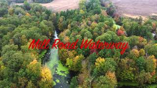 Mill Road Waterway Fall Colours in 4K