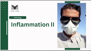 Inflammation II