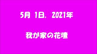 2021-04-30・我が家の花！