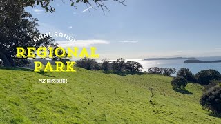 NZ 自然探検！　Mahurangi Regional Park #旅行 #ニュージーランド #オークランド