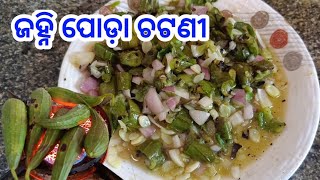 Janhi poda chatni recipe || ଜହ୍ନି ପୋଡ଼ା ଚଟଣୀ ପ୍ରସ୍ତୁତି #Janhipodachatni #janhi #Ridgegourds