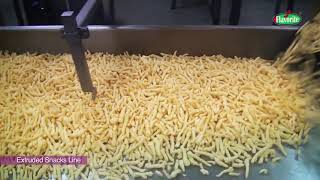 Far Eastern Impex - Extruded Snacks Line by Flavorite