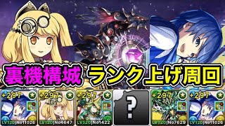 【パズドラ】落ちコンなしバッジ不要！全敵対応！裏修羅の幻界！裏機構城の絶対者！1周11~12分台！片サレーネ！KAITO編成でランク上げ周回！【概要欄に立ち回りなど記載】