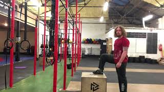 Quad Dominant? Use the Box Step Up to Train your Hamstrings!