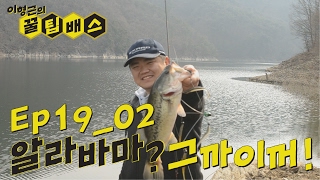 [꿀팁배스 Ep19_02] 배스낚시 알라바마? 그까이꺼!! (Alabama rig Bass fishing)