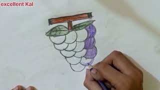 How To Draw Grapes Step By Step / Grapes Drawing Easy excellent Kal