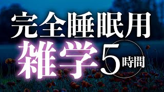 【睡眠導入】完全睡眠用雑学5時間【合成音声】