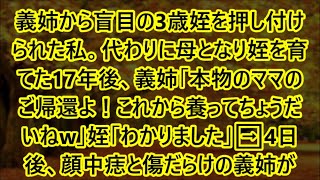 義姉から盲目の3歳姪を押し付けられた私。代わりに母となり姪を育てた17年後、義姉「本物のママのご帰還よ！これから養ってちょうだいねw」姪「わかりました」➡4日後、顔中痣と傷だらけの義姉が…【スカッと】