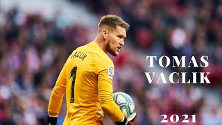 Tomas Vaclik 2022/2023 ► Best Saves and Highlights [HD]