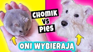 CHOMIK DECYDUJE VS PIES DECYDUJE O MOIM SLIME! Robię Slime Według Moich Zwierząt