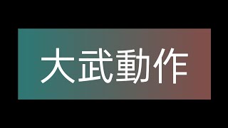 【大武動作完整展示】