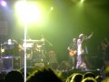 steel pulse couleur café 2010