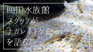 【四国水族館】四国水族館スタッフの話#７