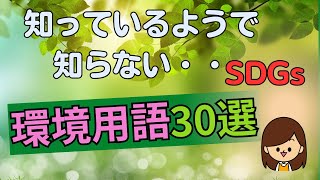 【SDGs】知っているようで知らない用語集30選