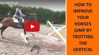 How to ride the jumping exercise "Trotting the Vertical" with Kirstin Kelly Equestrian