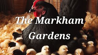 DIY Chick Raising Pen: A Touch of Southern Ingenuity @TheMarkhamGardens