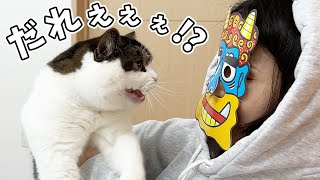 ママの顔が鬼になっていたときの猫の反応がすごかったw