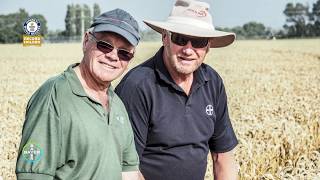 GUINNESS WORLD RECORDS™ title: Highest Wheat Yield | Record Day