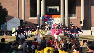 2018.10.21　高知工科大学よさこい踊り子隊　学祭2日目