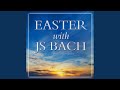 Der Friede sei mit dir, BWV 158: IV. Chorale 