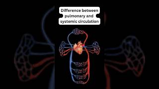 Difference between pulmonary and systemic circulation #science #biology #heart #education #students