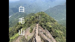 谷關七雄~老六白毛山~白冷冰棒