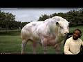 YOU WON'T BELIEVE THIS! Scariest Hybrid Animals That Actually Exist Reaction